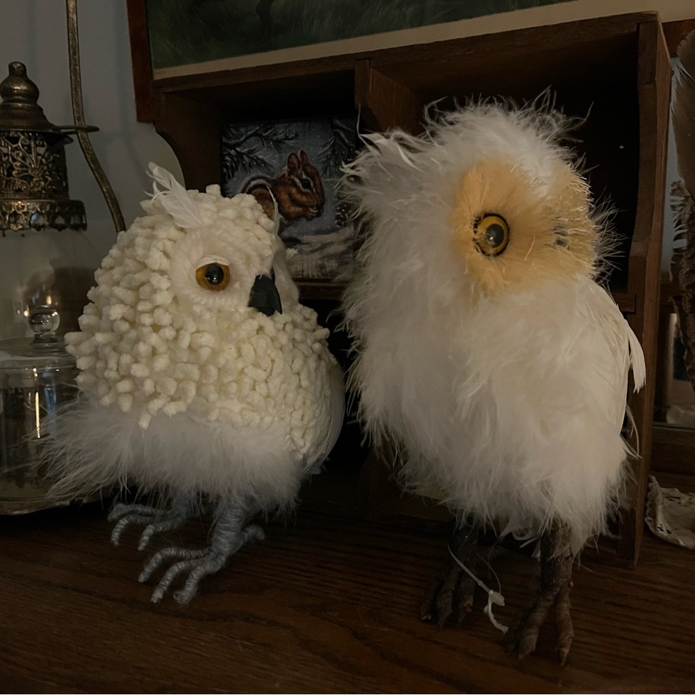 Pair of White feathered owls - Picture 2 of 7